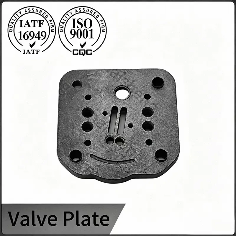 Cast Iron Valve Plate
